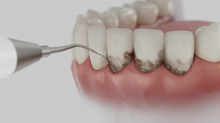 Reliable Dental contractor in Kittery Point, ME by Dentist Open Now